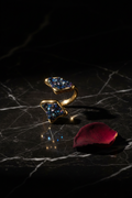DR-14 Blue Druzy Twin-Tip Ring