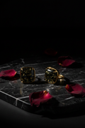 DR-3 Raw Gemstone Earrings